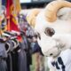 How the 2024 College Football Season Could See 2 Army-Navy Games