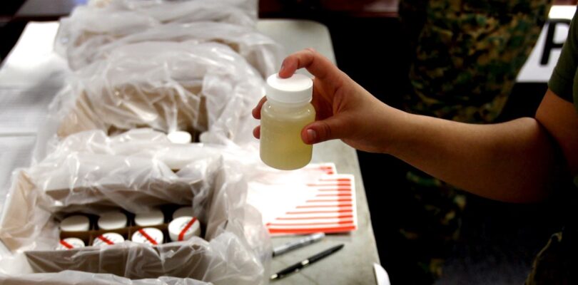 Piss poor: Inside the ‘sloppy’ practices of a military urinalysis lab