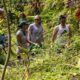 Navy, Marines Team Up with University of Hawaii on Resource Management