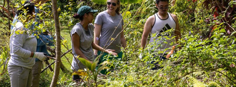 Navy, Marines Team Up with University of Hawaii on Resource Management