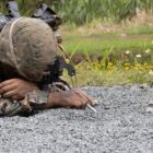 Navy Seeks to Expand Mine Warfare Training in Hawaii