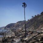 2 Military Planes Are Fighting LA’s Fires, But Navy Helicopters and Marines Are Still Awaiting Orders