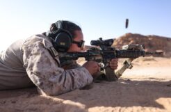 Military Effort to Scrub Diversity Programs Leads to Dead Websites and Confusion