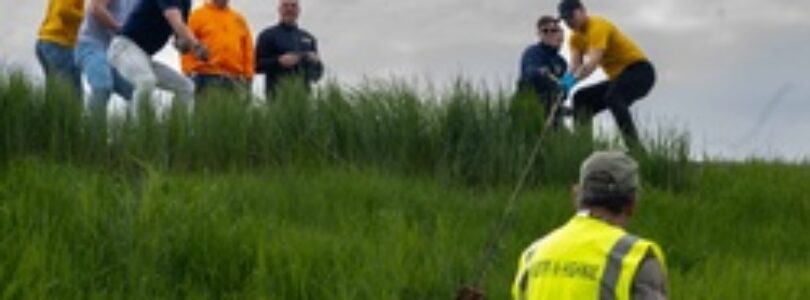 Sailors volunteer with the River City Waterway Alliance [Image 3 of 7]