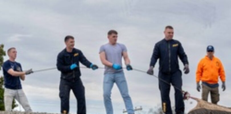 Sailors volunteer with the River City Waterway Alliance [Image 7 of 7]