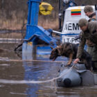 Fourth missing US soldier found deceased in Lithuanian bog