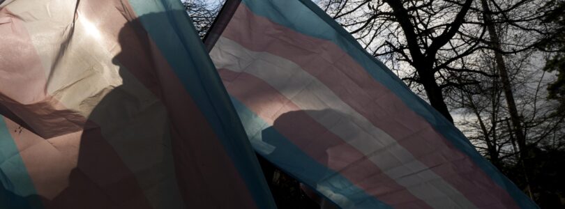 Military to screen for gender dysphoria amid transgender ban, per memo