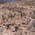 Pentagon Sends 1,100 More Troops to Border in Continued Mission Ramp-Up