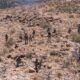 Pentagon Sends 1,100 More Troops to Border in Continued Mission Ramp-Up