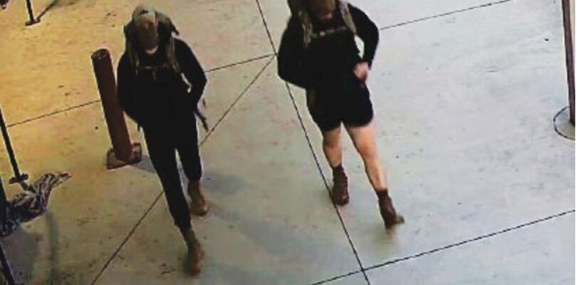 2 veterans arrested in brazen robbery, assault at Washington base