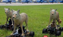 Army tests robotic coyotes to defend fighter jets