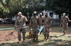 The National Guard, DC landscaping and the great pursuit of lethality
