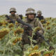 Trump offers assurances that US troops won’t be sent to defend Ukraine