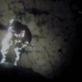 U.S. Coast Guard rescues four girls stranded while paddleboarding