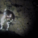 U.S. Coast Guard rescues four girls stranded while paddleboarding