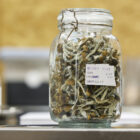 Troops will be drug tested for psychedelic mushroom use, Pentagon says