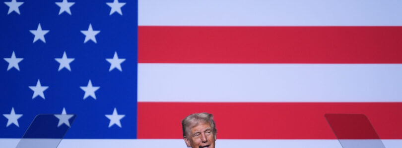 Trump suggests using US cities as ‘training grounds’ for military