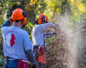 Veterans volunteer longer, vote more often than civilian peers: report