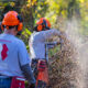 Veterans volunteer longer, vote more often than civilian peers: report