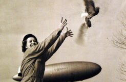 How Pigeons Helped U.S. Navy Blimps Hunt German U-Boats in World War II