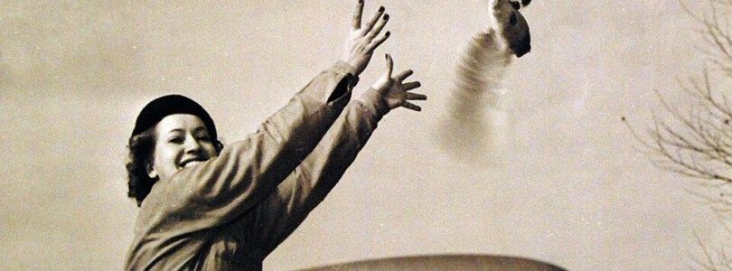 How Pigeons Helped U.S. Navy Blimps Hunt German U-Boats in World War II