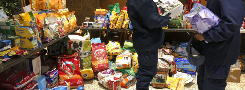 Shutdown causes turmoil for some military families’ food assistance