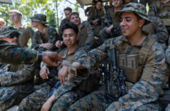 An enduring symbol: why troops keep naming things after reptiles