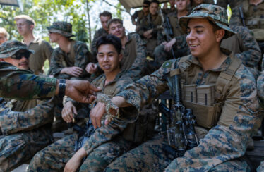 An enduring symbol: why troops keep naming things after reptiles
