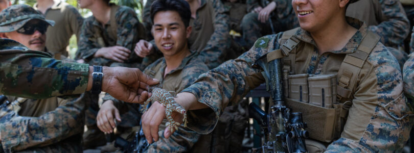 An enduring symbol: why troops keep naming things after reptiles
