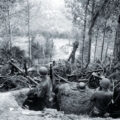 How the Battle of Hurtgen Forest became one of the biggest US losses