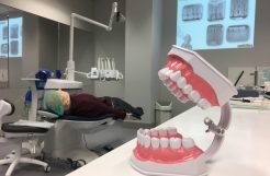 Troops’ dental readiness showing some improvement, some decay