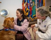 Mid-South Therapy Dogs visit CNRC [Image 3 of 8]