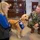 Mid-South Therapy Dogs visit CNRC [Image 6 of 8]