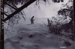Against all odds: The 2nd Infantry Division’s fight at Elsenborn Ridge