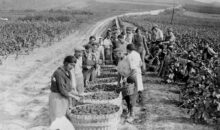 How wine and champagne helped to defeat the Nazis