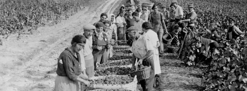 How wine and champagne helped to defeat the Nazis