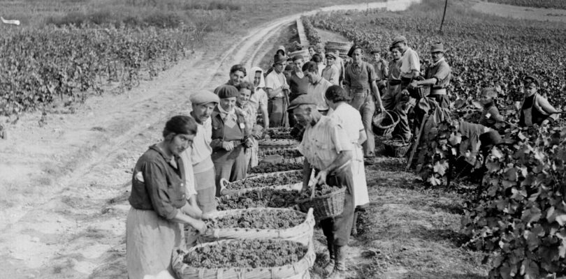 How wine and champagne helped to defeat the Nazis