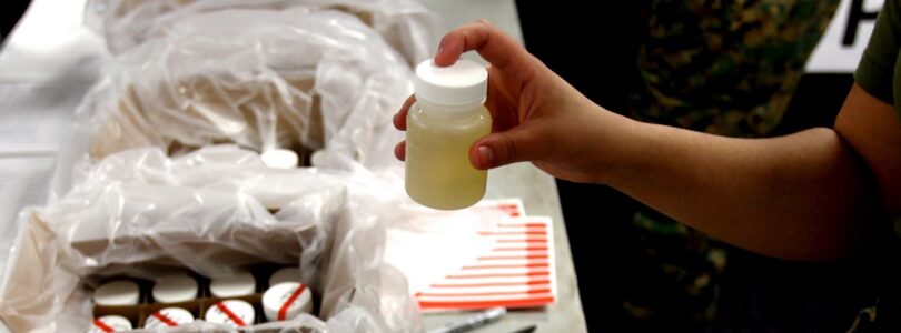 Navy bans sailors from using kratom, other drugs