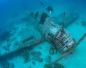 Efforts underway to preserve first WWII Devastator torpedo bomber