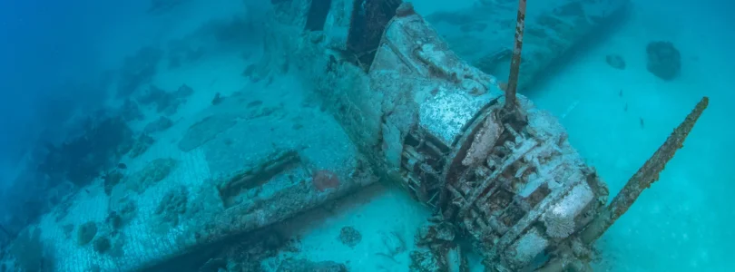 Efforts underway to preserve first WWII Devastator torpedo bomber