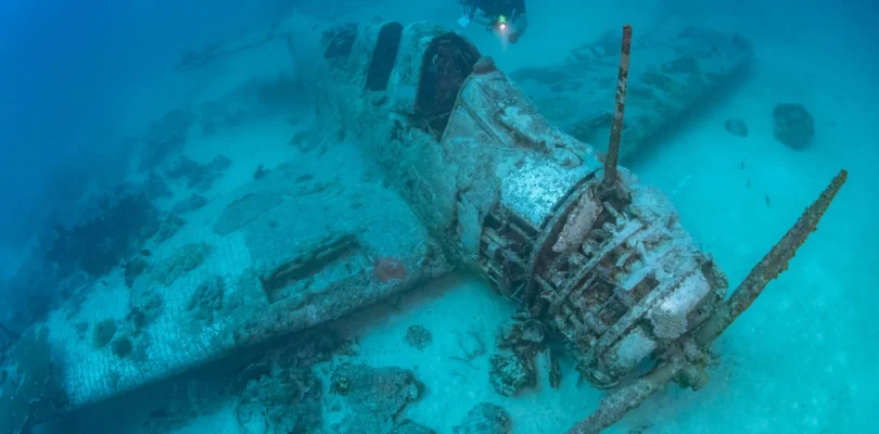 Efforts underway to preserve first WWII Devastator torpedo bomber