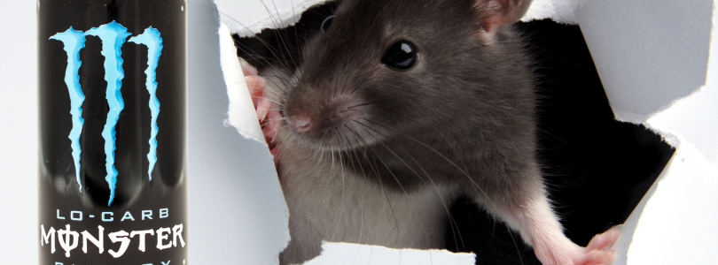 Sailor reportedly finds dead rat in finished energy drink