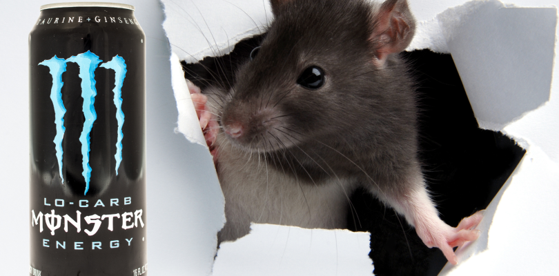 Sailor reportedly finds dead rat in finished energy drink