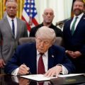 Trump clears path for expanded psychedelic research to treat veterans’ PTSD