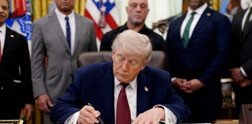 Trump clears path for expanded psychedelic research to treat veterans’ PTSD