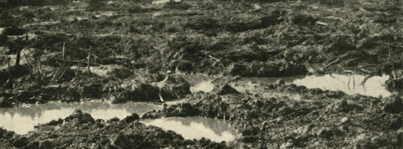 ‘All Quiet on the Western Front’ finds a new voice