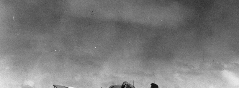 The F4F Wildcat: The little fighter that could
