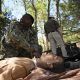 Defense Department proposes splitting military health system budget