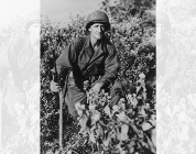 Bravery in Burma: Despite being rendered blind by the Japanese, this soldier fought on