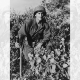 Bravery in Burma: Despite being rendered blind by the Japanese, this soldier fought on